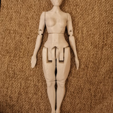 Picture of print of Articulated Figure - No Support This print has been uploaded by john