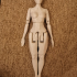 Articulated Figure - No Support print image
