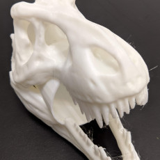 Picture of print of T-Rex Skull Pen Holder This print has been uploaded by Bob