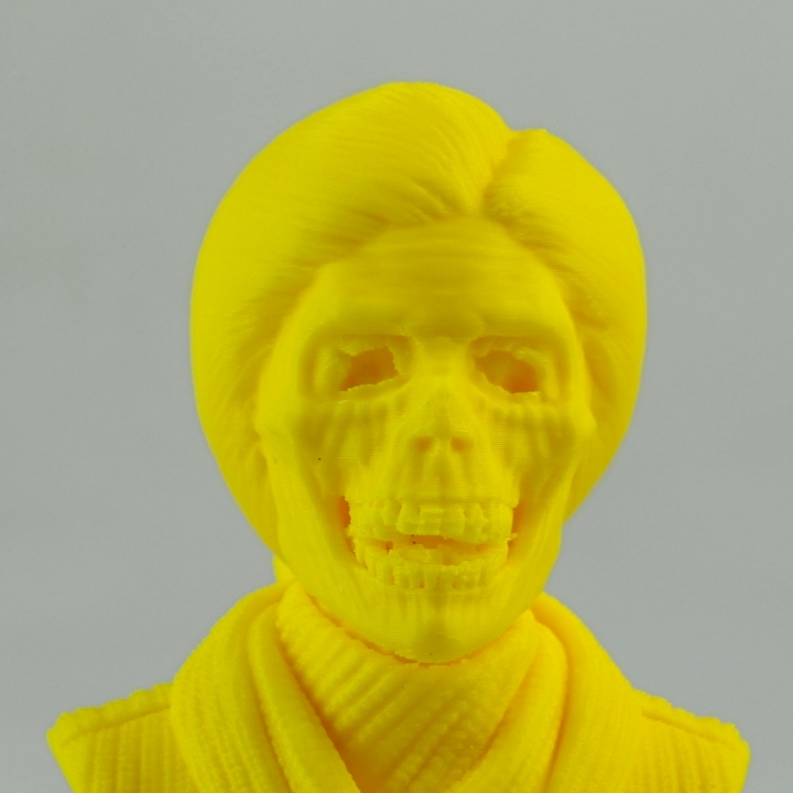 Norma Bates bust
