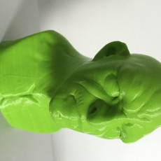 Picture of print of Troll bust sculpt This print has been uploaded by Akalo