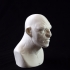 Troll bust sculpt image