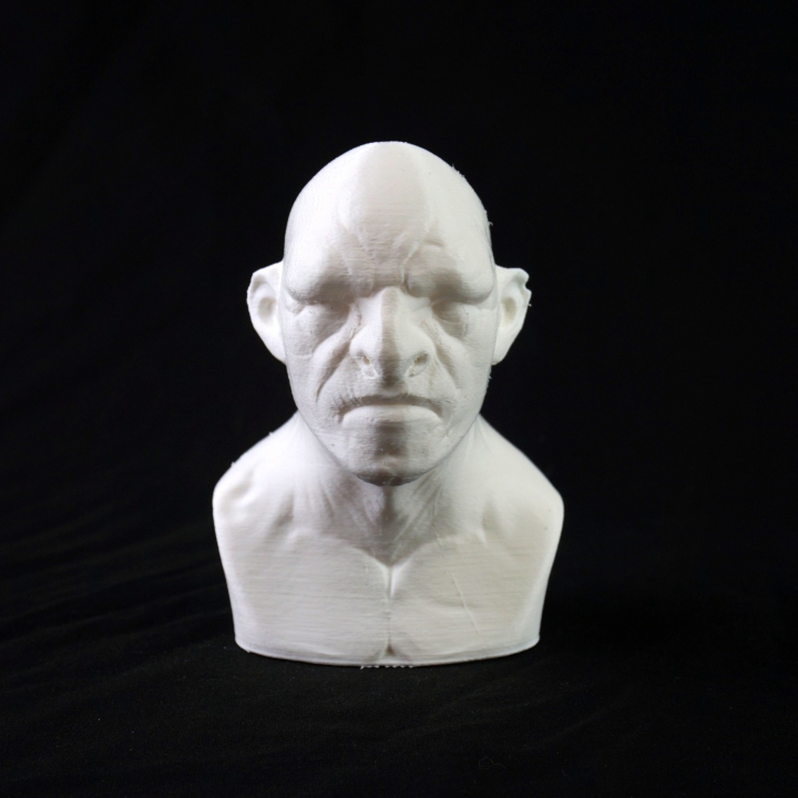 Troll bust sculpt