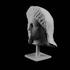 Head of a Veiled Woman at the MET, New York image