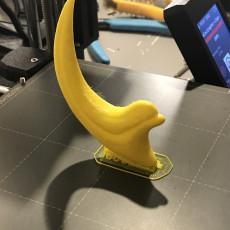 Picture of print of velociraptor claw