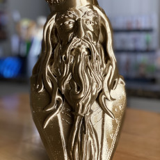 Picture of print of Albus Dumbledore Bust