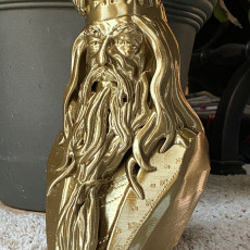 Picture of print of Albus Dumbledore Bust
