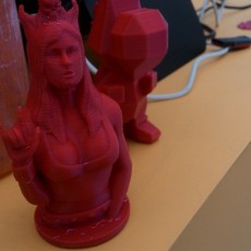 Picture of print of The Metal Queen! (Resin print)
