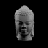 Head of a Buddha at The Guimet Museum, Paris image