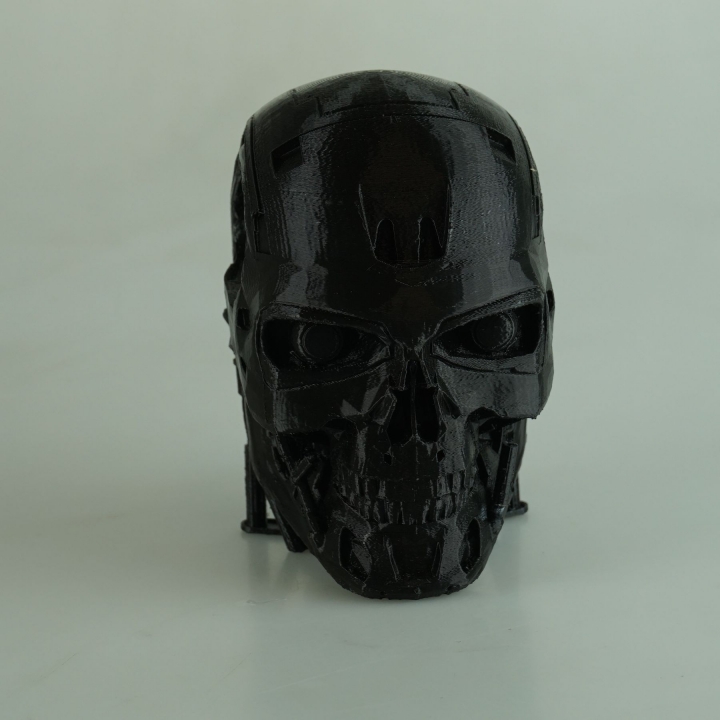 t 800 terminator skull