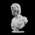 Bust of a Young Man at The Metropolitan Museum of Art, New York image