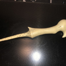 Picture of print of Voldemort's Wand