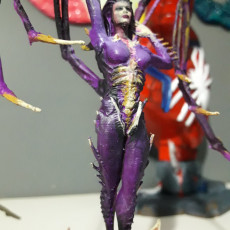 Picture of print of Starcraft KERRIGAN statue This print has been uploaded by Jesus