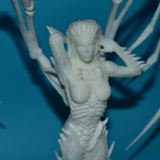 Picture of print of Starcraft KERRIGAN statue This print has been uploaded by Michal S