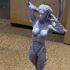 Picture of print of Starcraft KERRIGAN statue This print has been uploaded by Yann Colliva