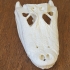 Alligator Skull image