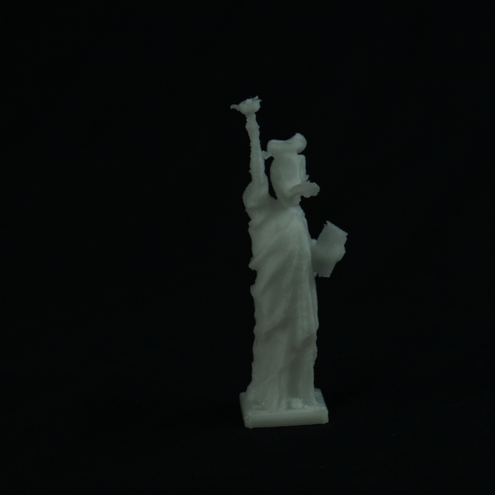 Statue Liberty + Donald