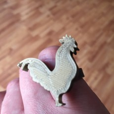 Picture of print of Cock ring