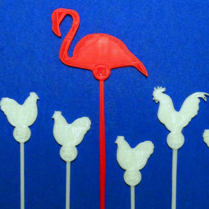 A Flamingo Among Chickens