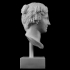 Head of a Woman at The Metropolitan Museum of Art, New York image