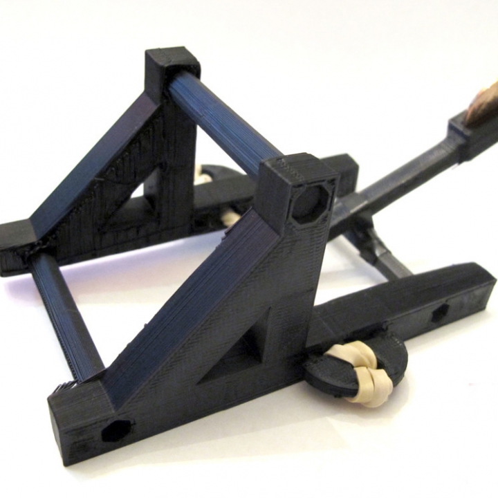 Penny Catapult