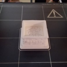 Picture of print of D&D Dice Cage