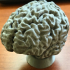 Human Brain print image