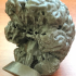 Human Brain print image