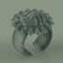 Nature Based Ring Jewel image
