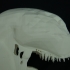 Venom Head image