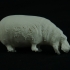 Hippo 3D Model image