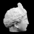 Bust of Antinous du Capitole at The Réunion des Musées Nationaux, Paris image