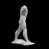 The Walking Man at The Musée Rodin, Paris image