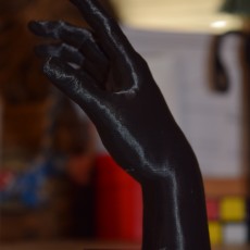 Picture of print of Hand of Adam at The Rodin Museum, Paris
