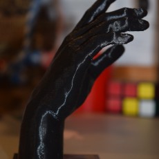 Picture of print of Hand of Adam at The Rodin Museum, Paris