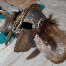 Picture of print of Viking helmet