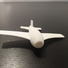 Picture of print of Airplane model