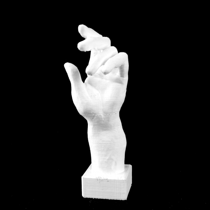 Left Hand of Jacques de Wissant at The Musée Rodin, Paris