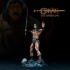Conan the barbarian image