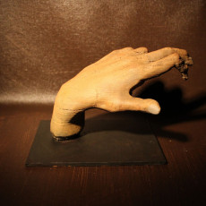 Picture of print of Hand of A Pianist at The Musée Rodin, Paris