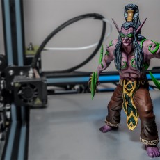 Picture of print of Illidan from Heroes Of The Storm! This print has been uploaded by Black Beard Projects