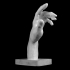 Hand of Adam - The Creation of Man at The Musée Rodin, Paris image