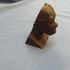 Picture of print of Borderlands Psycho Bust