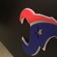 Picture of print of Houston Texans Logo