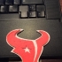 Houston Texans Logo image