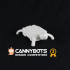 Daniel's Tortoise Cannybot image