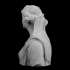 Bust of a Woman : Ariadne at The Louvre, Paris image