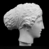 Head of Aphrodite at The Réunion des Musées Nationaux, Paris image