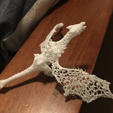 Picture of print of Baby dragon in stile Voronoi