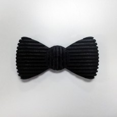 Picture of print of Bow Tie
